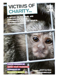 Victims of Charity pdf report image